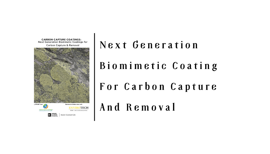 Read more about the article Next Generation Biomimetic Coating For Carbon Capture And Removal